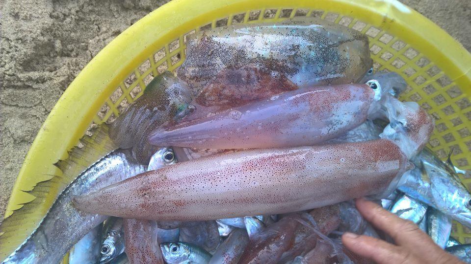 Nhon Ly Homestay Quy Nhon Εξωτερικό φωτογραφία