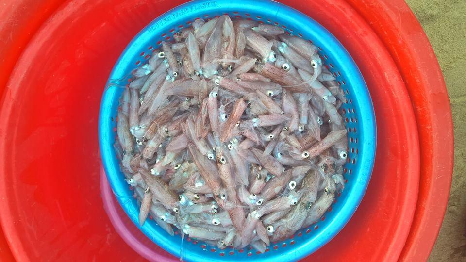 Nhon Ly Homestay Quy Nhon Εξωτερικό φωτογραφία